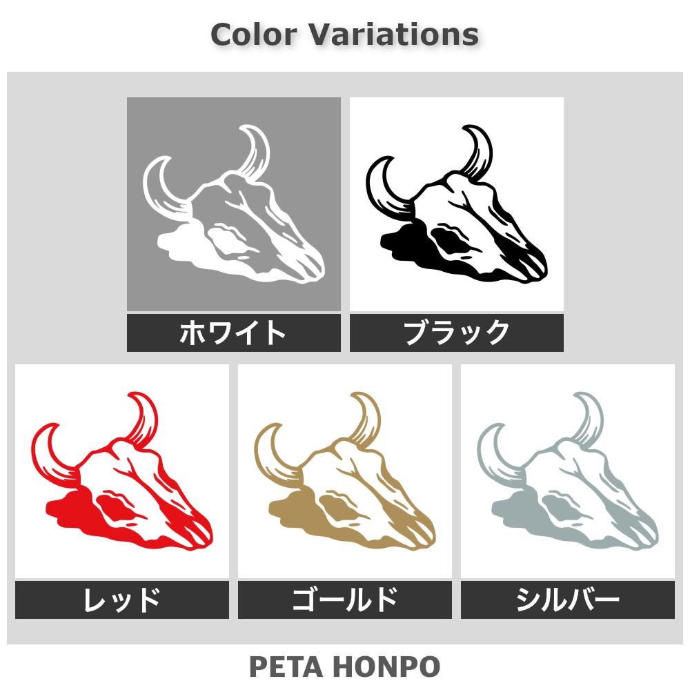 牛の頭蓋骨 2