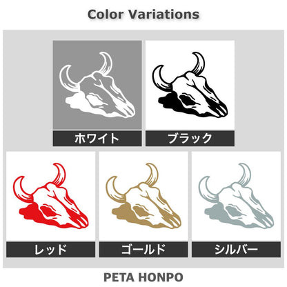 牛の頭蓋骨 2