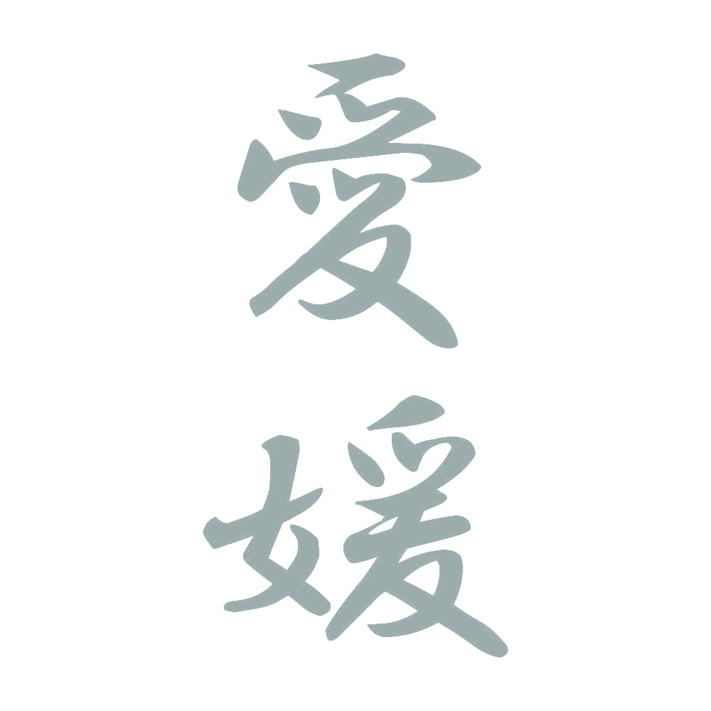 愛媛 縦書き (A) 10