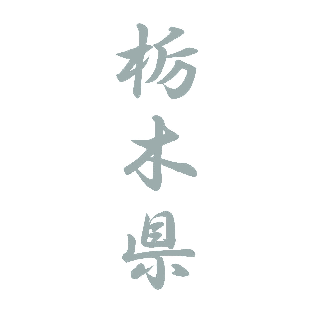 栃木県 縦書き (A) 10