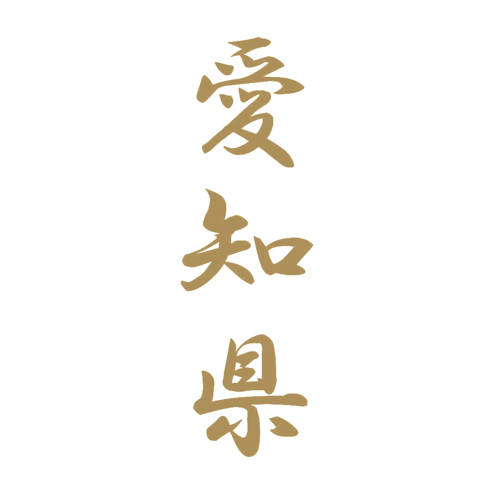 愛知県 縦書き (A) 9