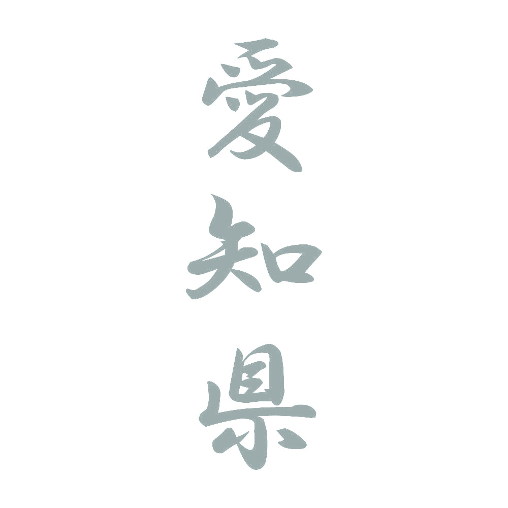 愛知県 縦書き (A) 10