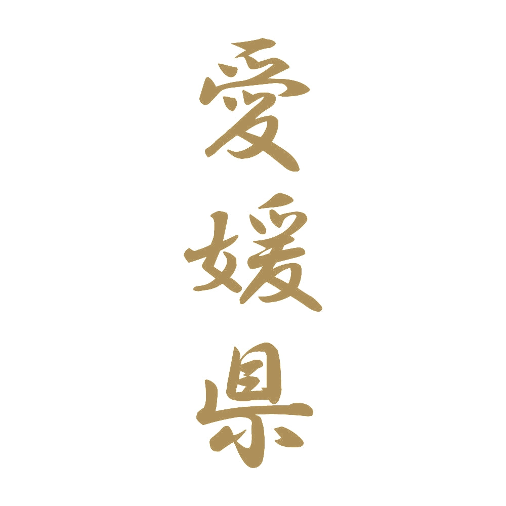 愛媛県 縦書き (A) 9