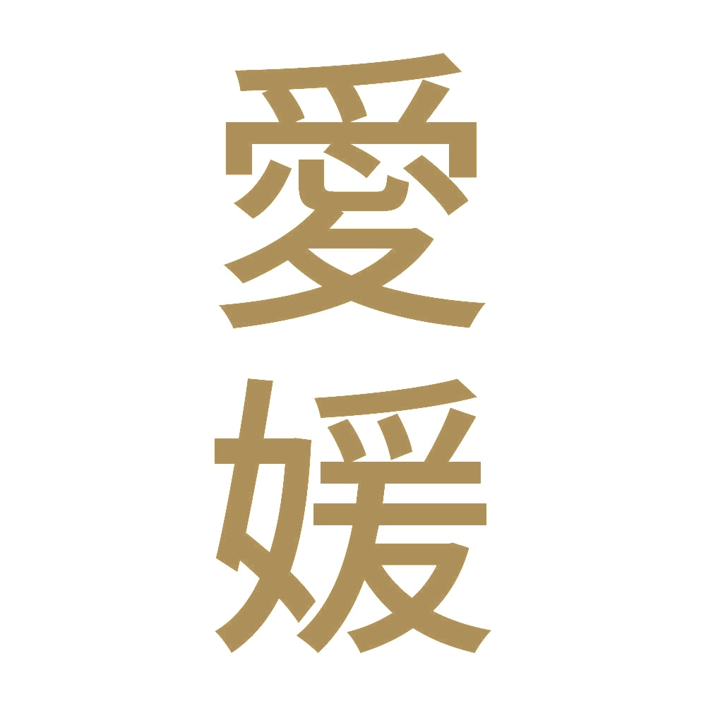 愛媛 縦書き (B) 9