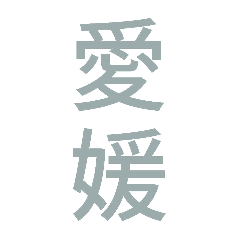 愛媛 縦書き (B) 10