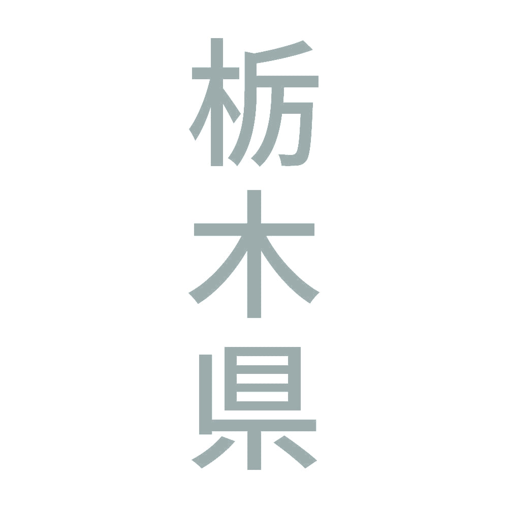 栃木県 縦書き (B) 10