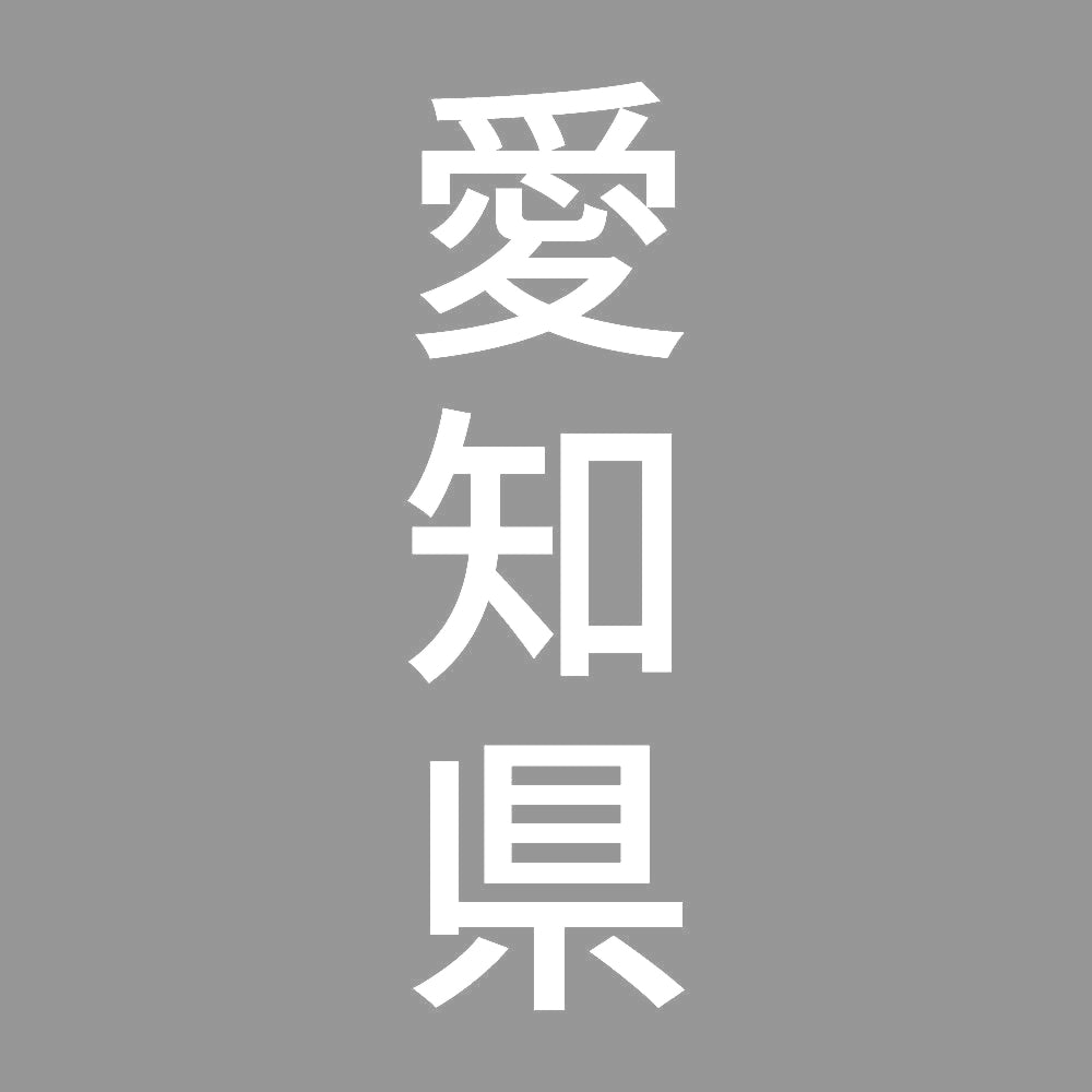 愛知県 縦書き (B) 7