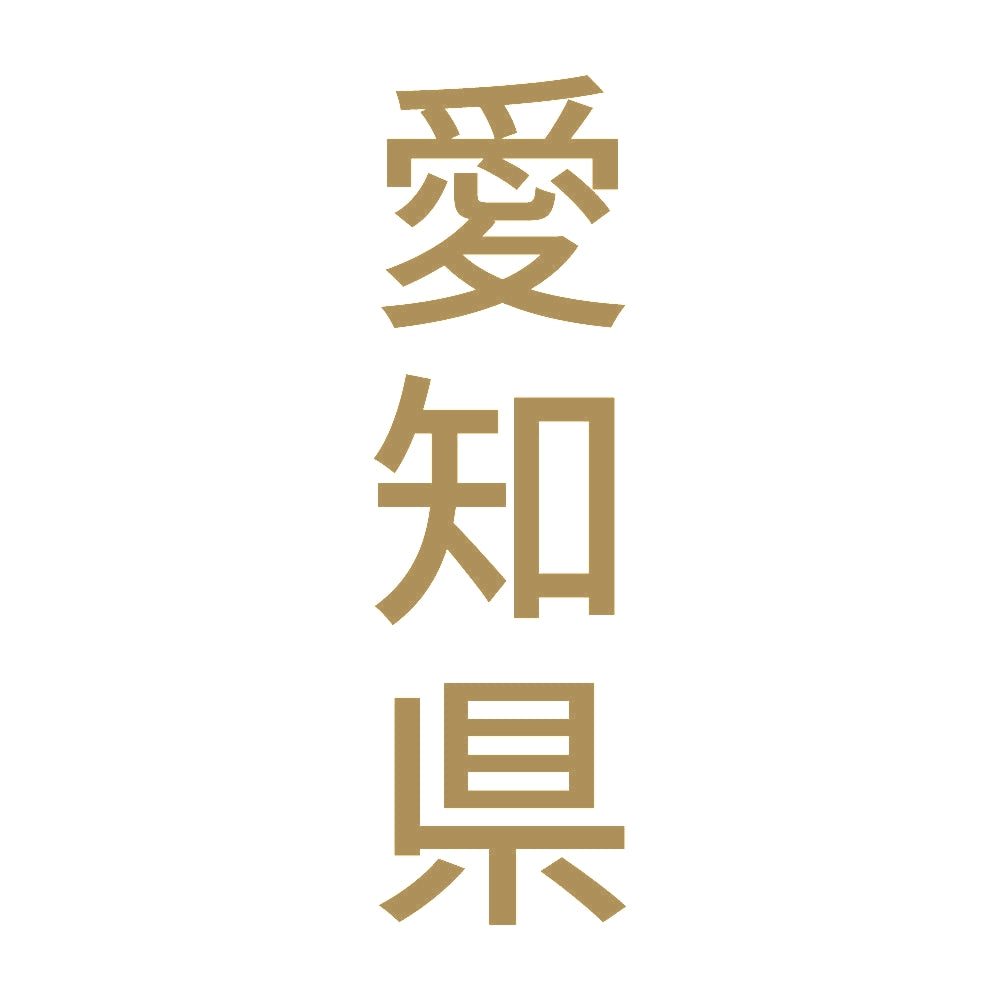 愛知県 縦書き (B) 9