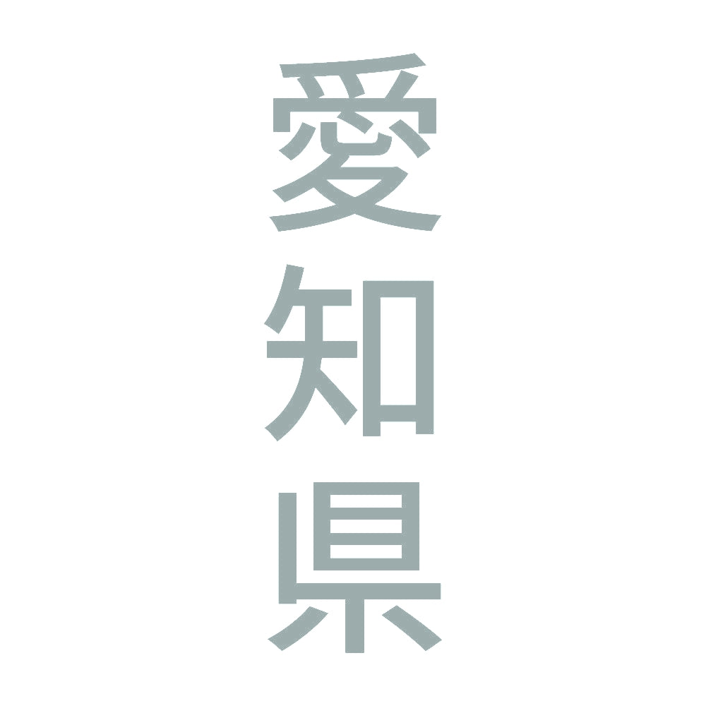 愛知県 縦書き (B) 10