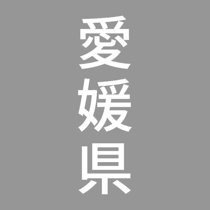 愛媛県 縦書き (B) 7