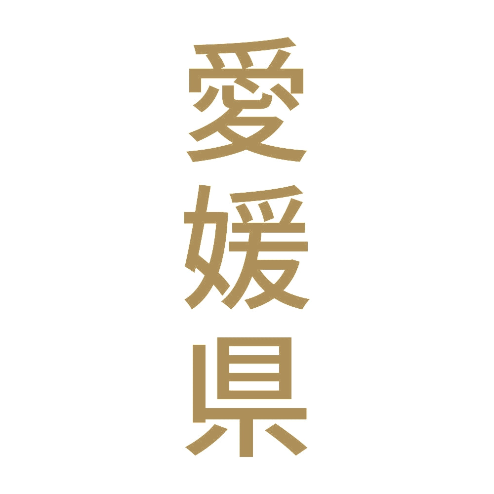 愛媛県 縦書き (B) 9