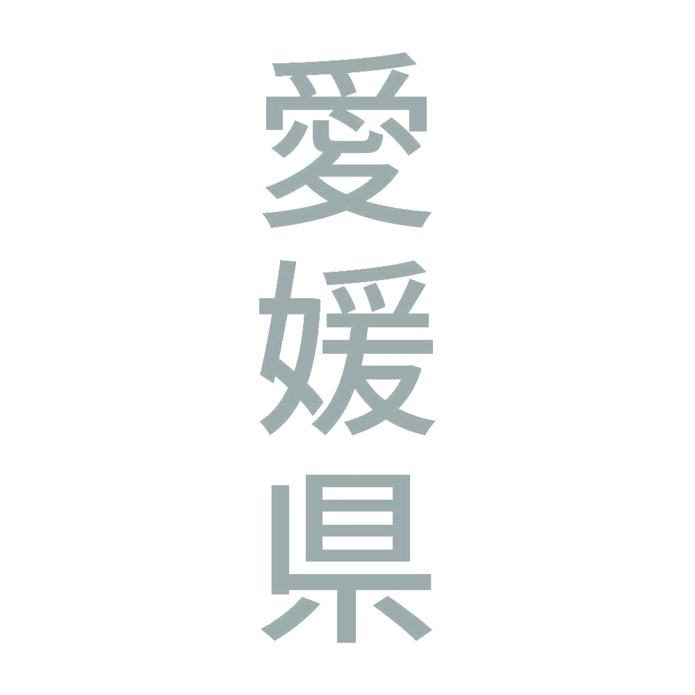 愛媛県 縦書き (B) 10