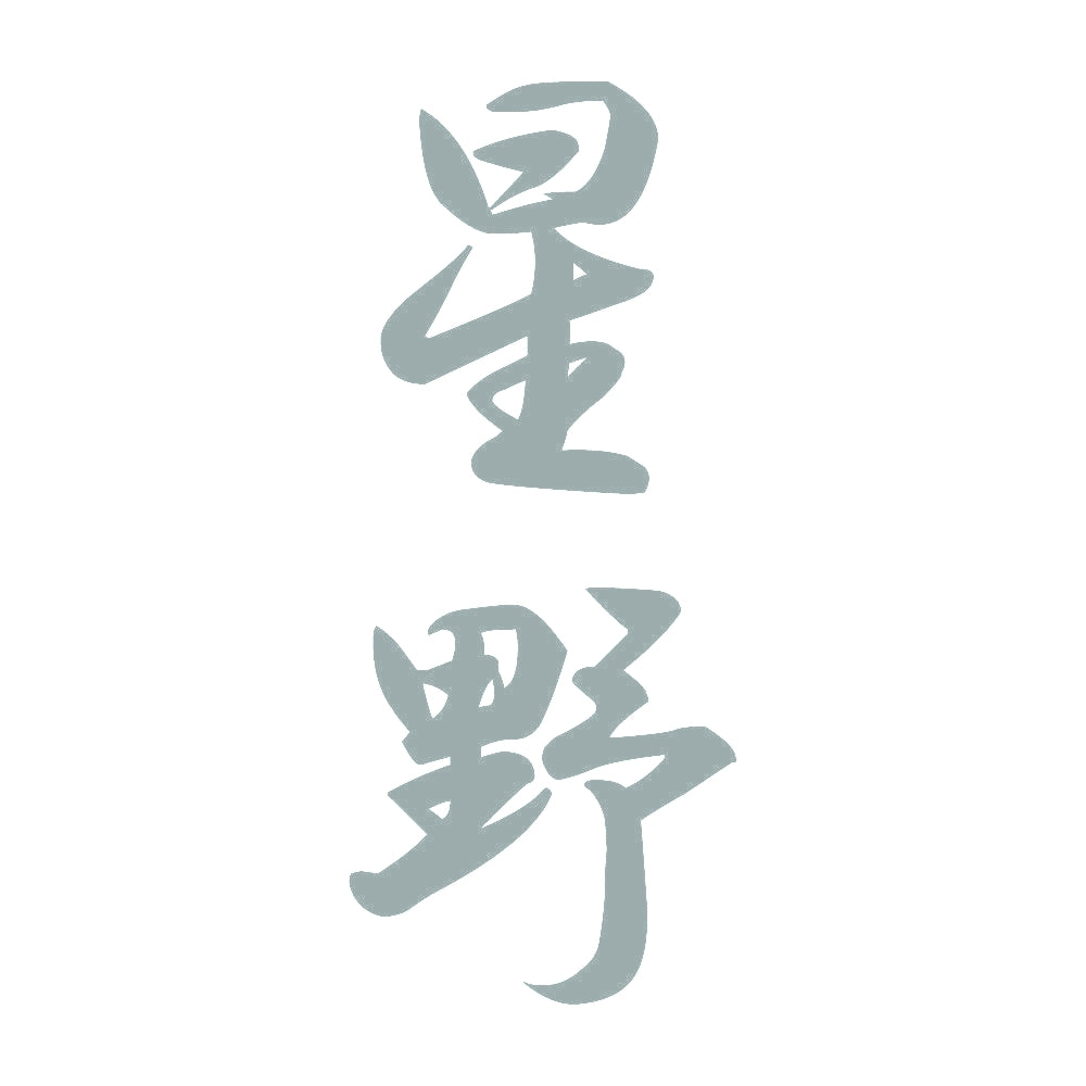 星野 縦書き (A) 10