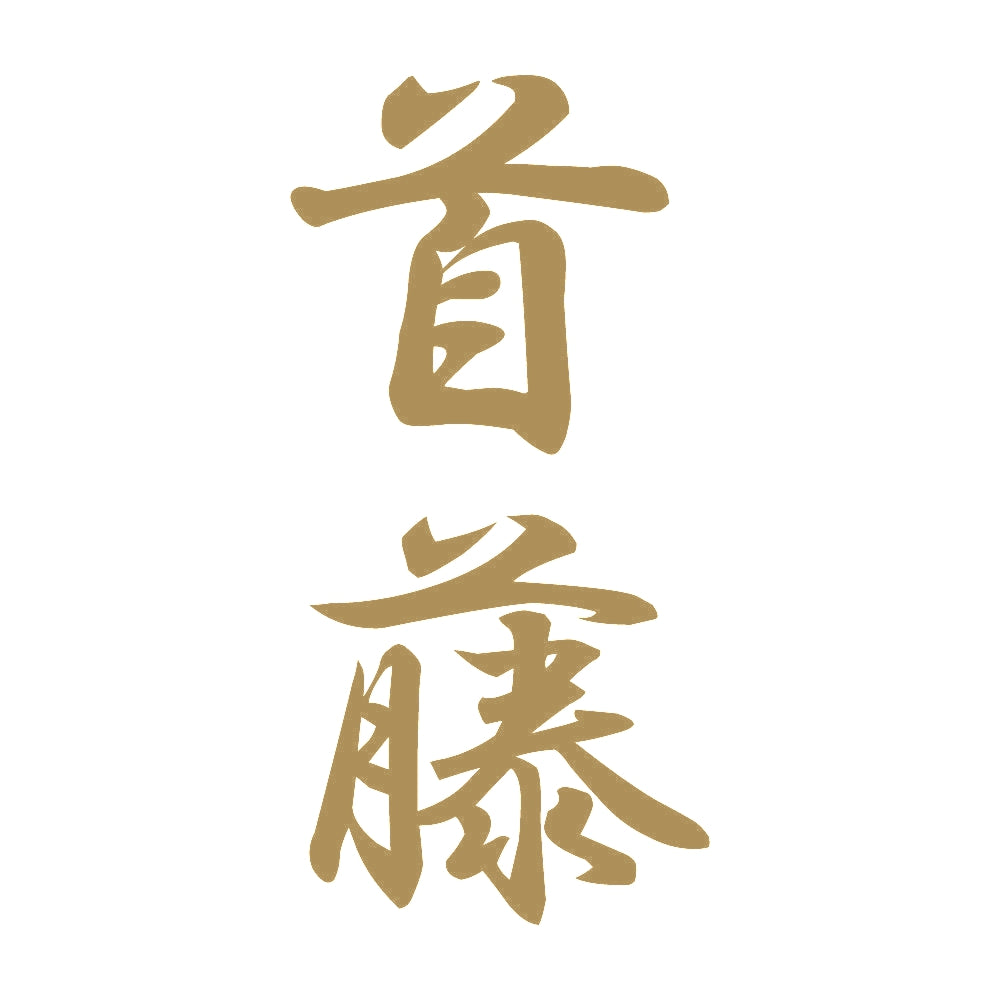 首藤 縦書き (A) 9