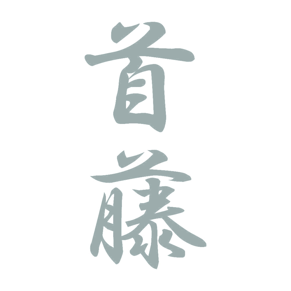 首藤 縦書き (A) 10
