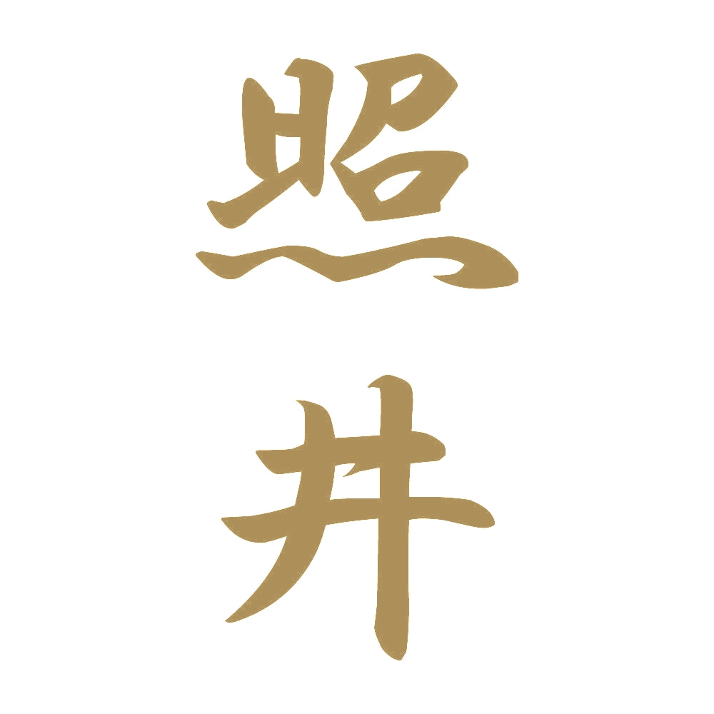 照井 縦書き (A) 9