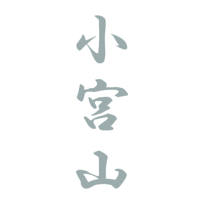 小宮山 縦書き (A) 10