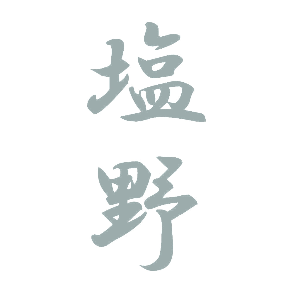 塩野 縦書き (A) 10