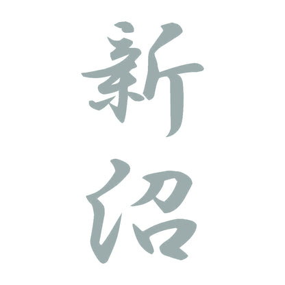 新沼 縦書き (A) 10