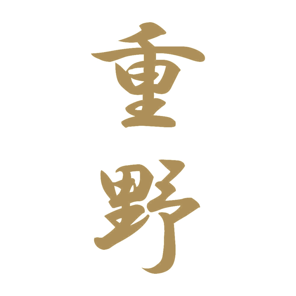重野 縦書き (A) 9