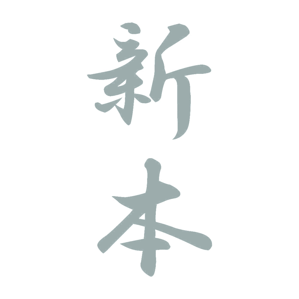 新本 縦書き (A) 10