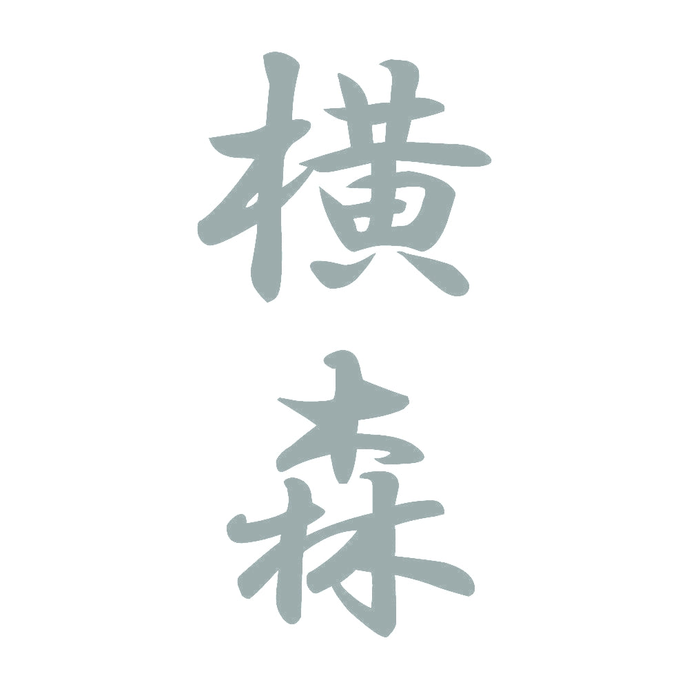 横森 縦書き (A) 10