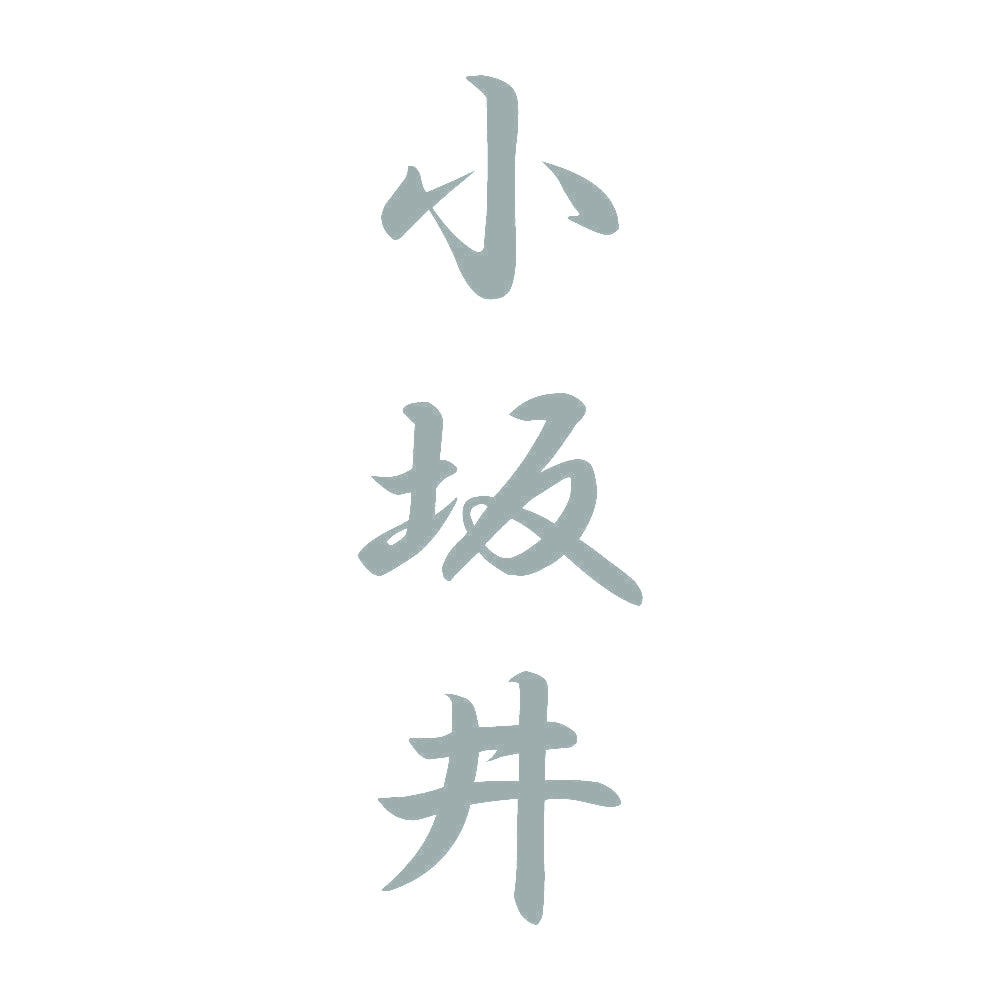 小坂井 縦書き (A) 10