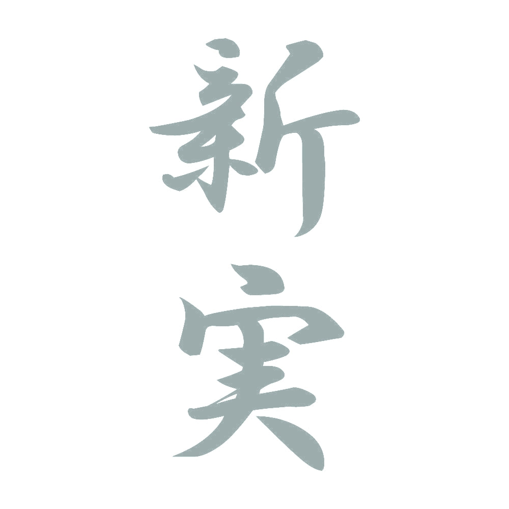新実 縦書き (A) 10