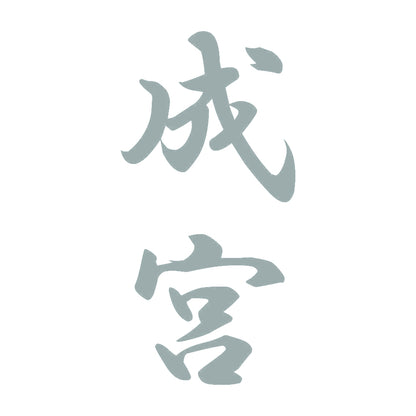 成宮 縦書き (A) 10