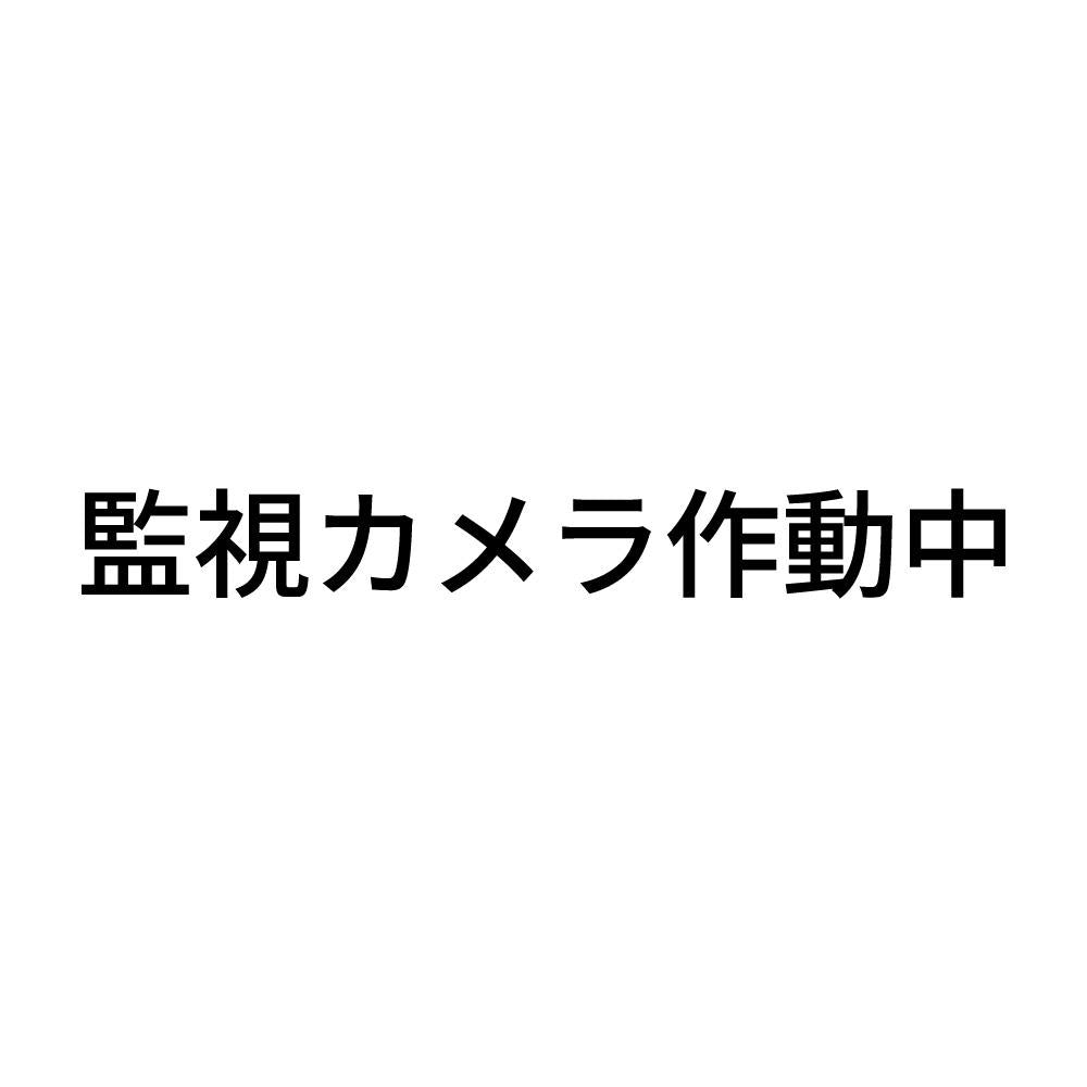 監視カメラ作動中 (A)