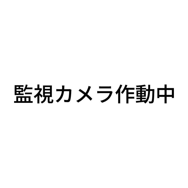 監視カメラ作動中 (A)