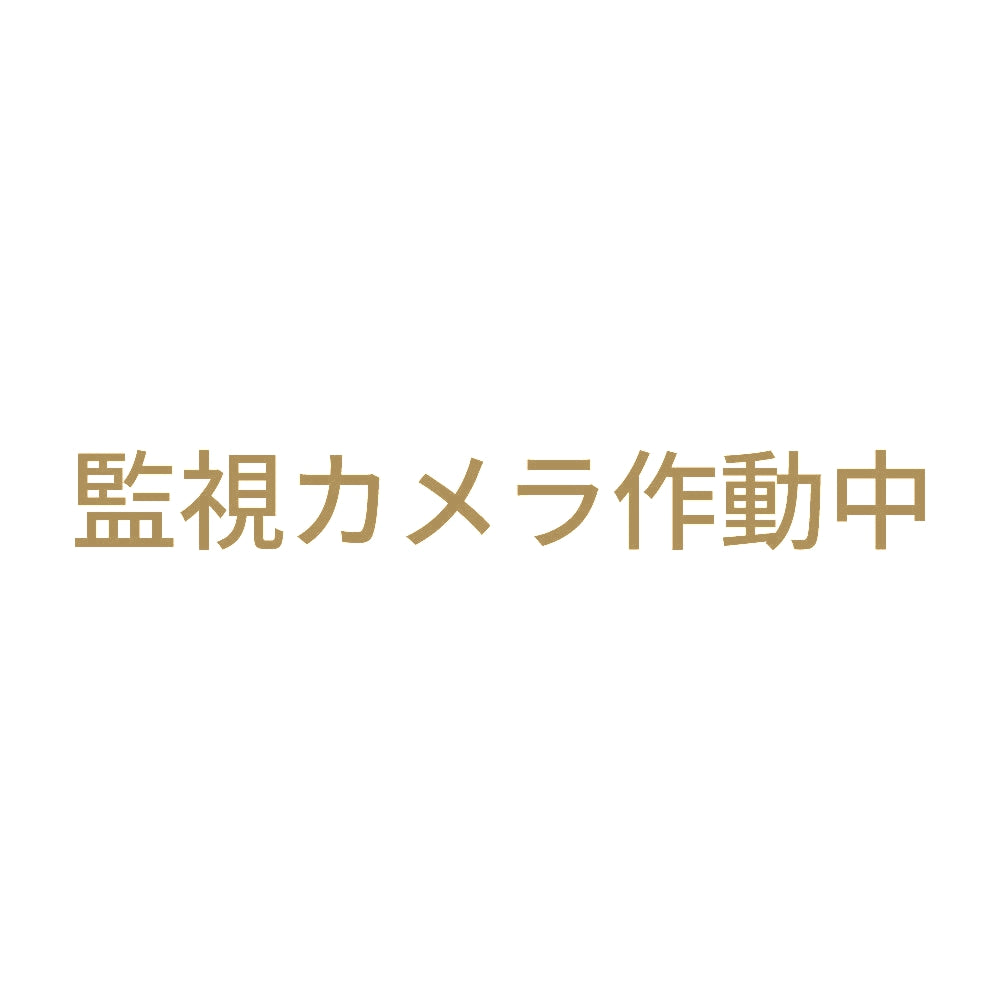 監視カメラ作動中 (A) 9