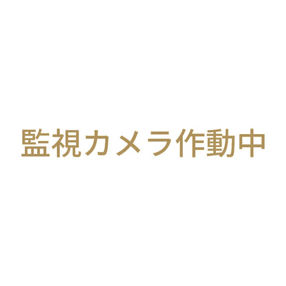 監視カメラ作動中 (A) 9