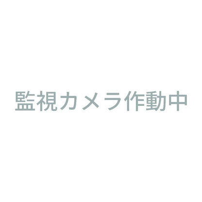 監視カメラ作動中 (A) 10