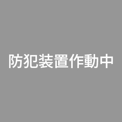 防犯装置作動中 (A) 7
