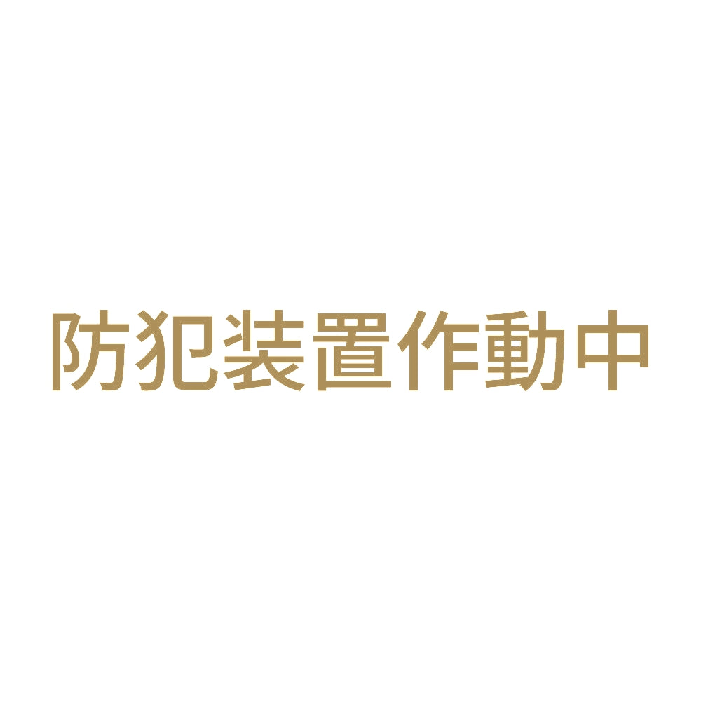 防犯装置作動中 (A) 9