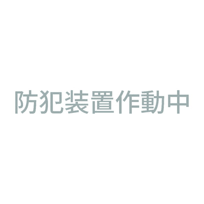 防犯装置作動中 (A) 10