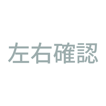 左右確認 (A) 10