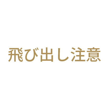 飛び出し注意 (A) 9