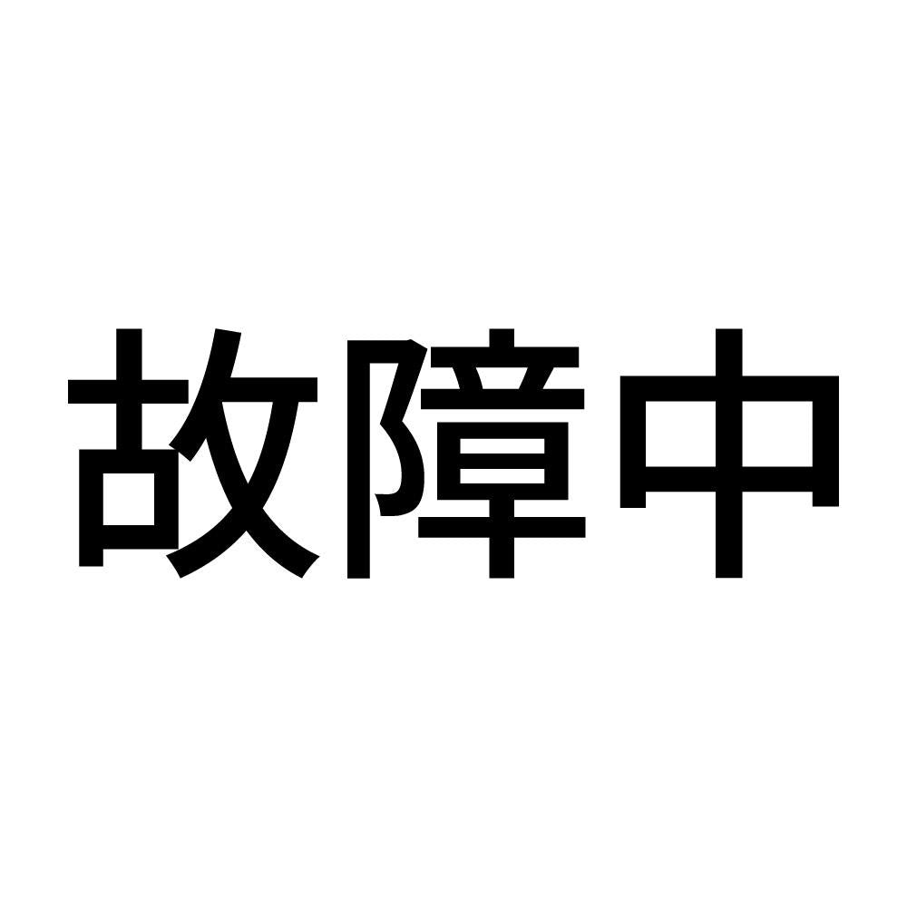 故障中 (A)