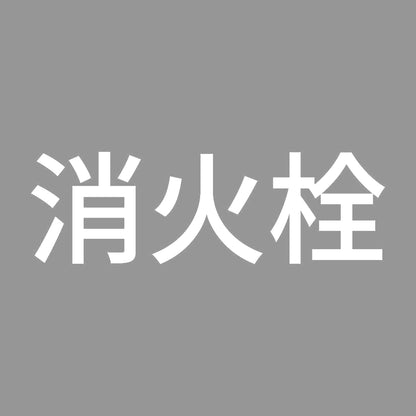 消火栓 (A) 7