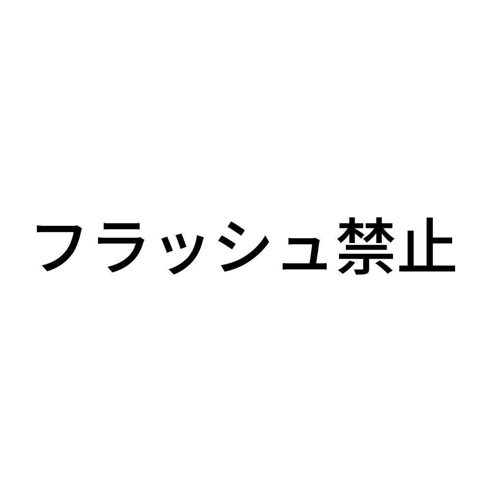フラッシュ禁止 (A)
