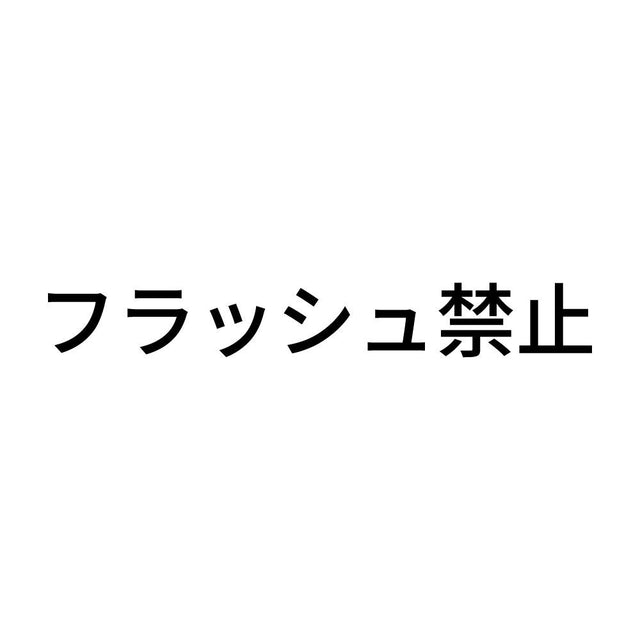 フラッシュ禁止 (A)
