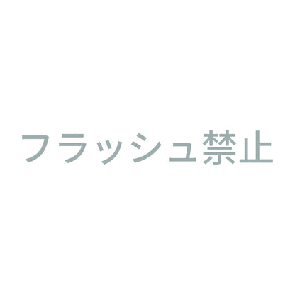 フラッシュ禁止 (A) 10