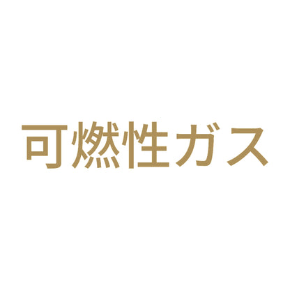 可燃性ガス (A) 9