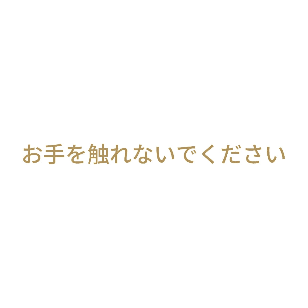 お手を触れないでください 9