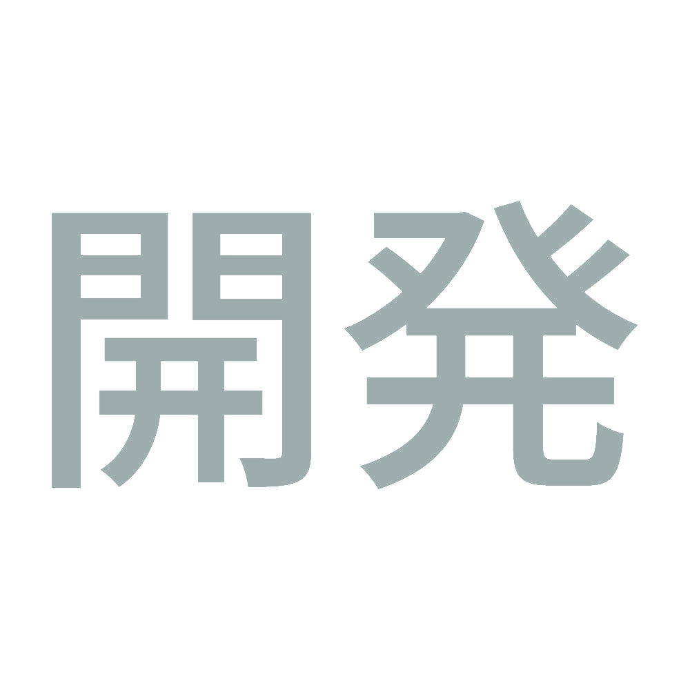 開発 10