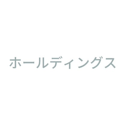 ホールディングス 10