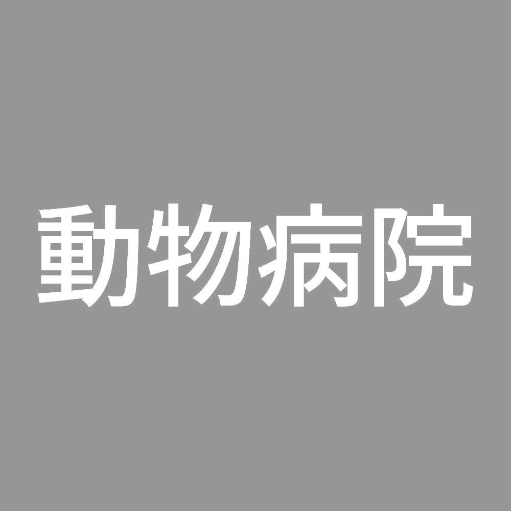 動物病院 7