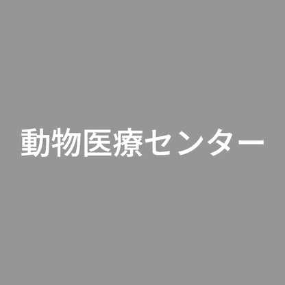 動物医療センター 7